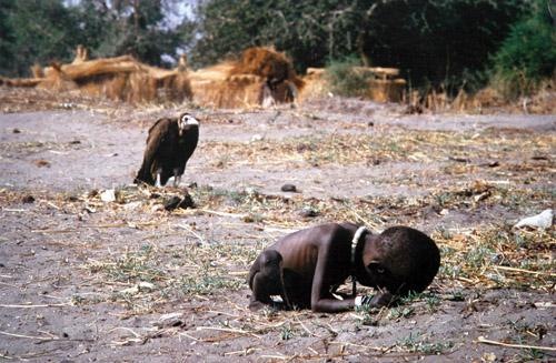 普利策-非洲-秃鹫-女童